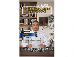 《科林科普》第五讲：肝脏，胆红素激素平衡守护者